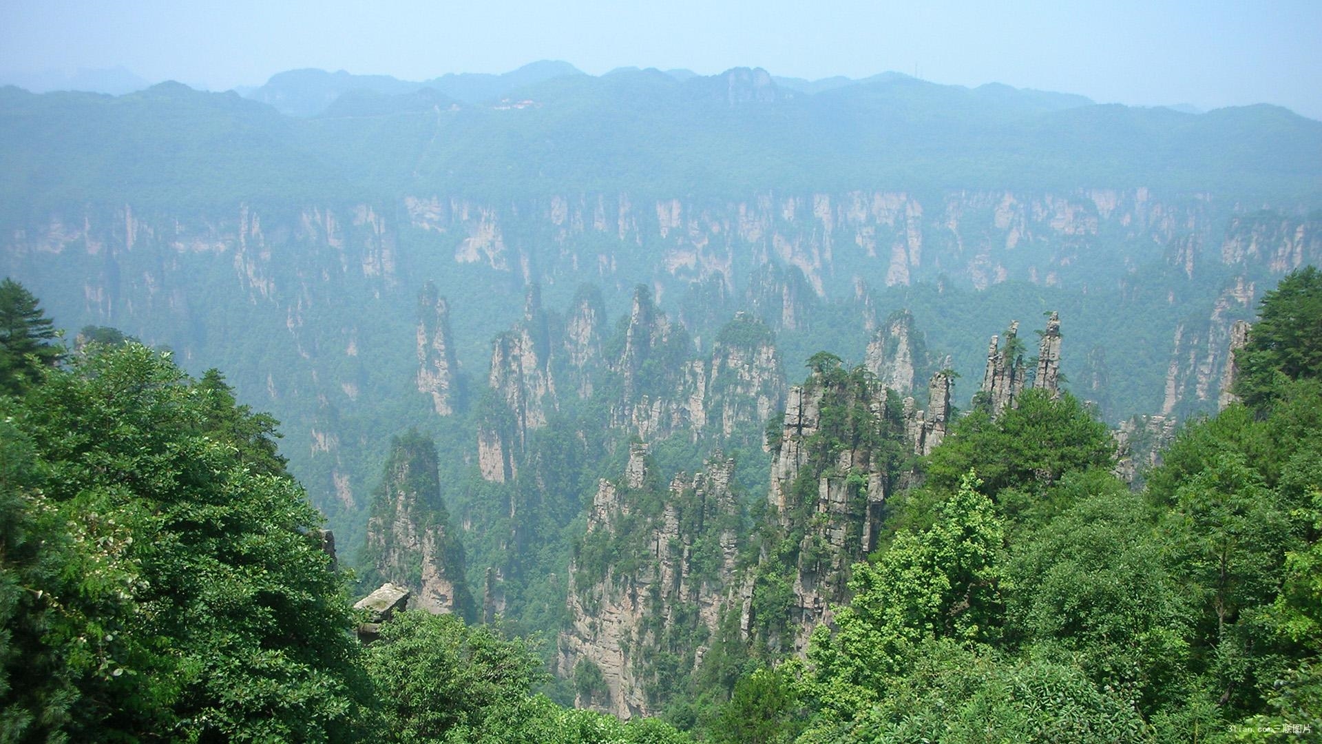 张家界原名青岩山，素有“三千峰林八百水”之说，地貌奇特|张家界|青岩山|峰林_新浪新闻