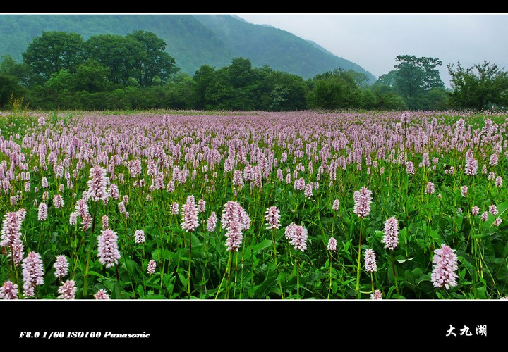 <高品质尊享>2024年清明节湖北旅游推荐|武当山、神农架、长江三峡七日游