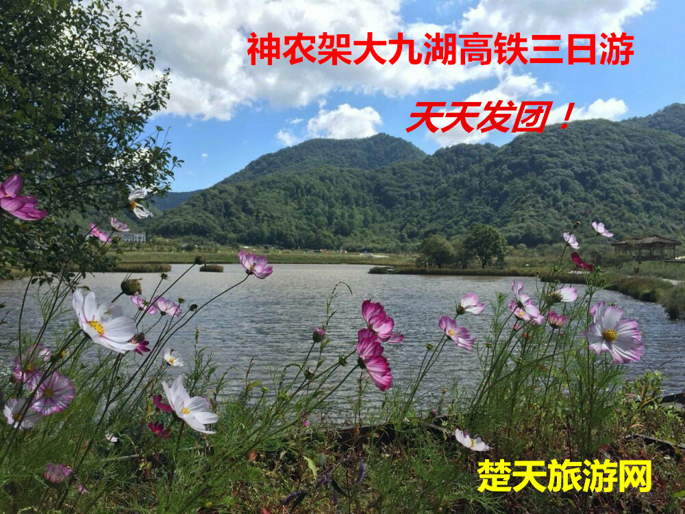 <全年畅销>武汉出发到神农架旅游|武汉到神农架大九湖高铁三日游|神农架旅游攻略|神农架旅行社